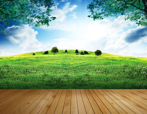 Güneşli bir günde yeşil çimen tarlaları ve mavi gökyüzü arkaplanı olan tahta ya da teras.