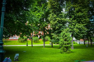 İskender - büyük yeşil bir alan