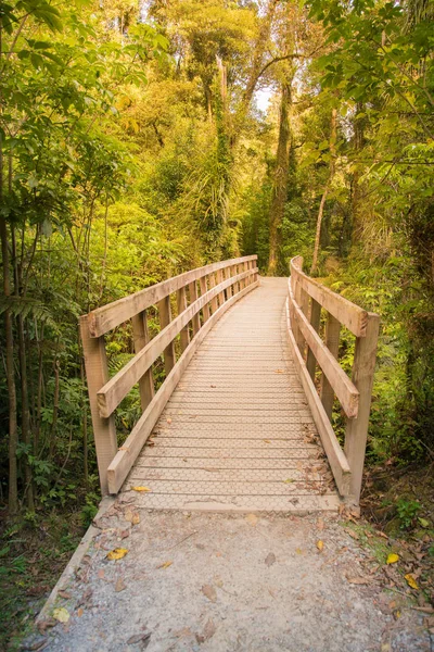 Houten Wandelpad Leidt Tot Diepe Geiser Jungle Natuurlijke Landschap Achtergrond — Stockfoto