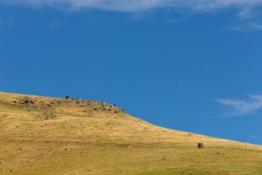 Mavi gökyüzü arka plan, doğal peyzaj arka plan alanıyla yeşil cam