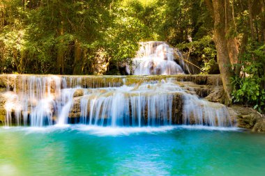 Doğal akışı şelale tropikal derin orman manzara arka planda
