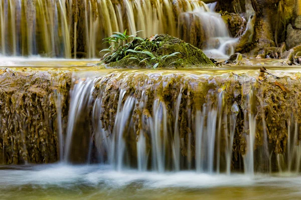 Kleine Pflanze Über Tropischen Bach Wasserfall Natürliche Landschaft Hintergrund — Stockfoto