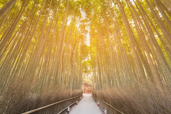 Arashiyama Floresta Bambu Com Passarela Zen Jardim Fundo — Fotografia de Stock