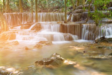 Tropikal doğal su doğal rezervler orman manzara arka planda düşmek