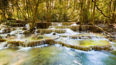 Tropikal akışı şelale peyzaj arka plan Ulusal derin ormandaki güzelliği