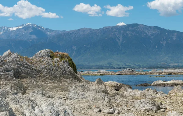 Kaikoura deniz kenarı, Yeni Zelanda doğal manzara arka plan doğal kaya