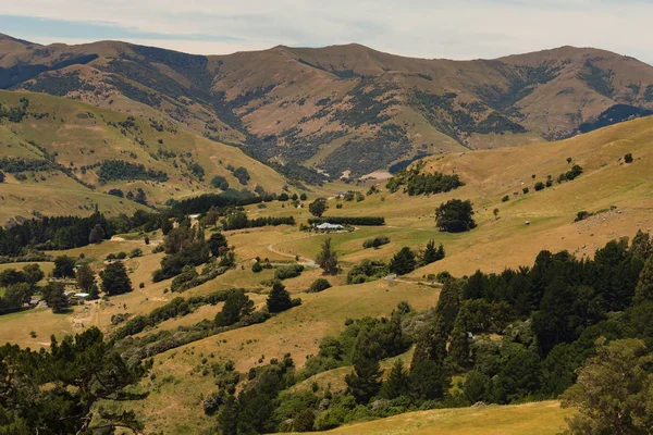 Tarım arazileri yeşil dağ arka plan ile Yeni Zelanda manzara eğe