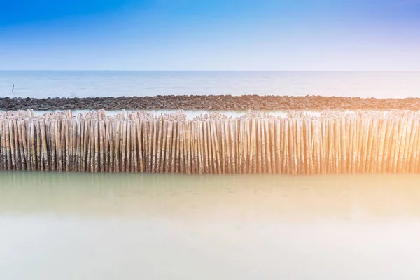 Bambusové Stěny Nad Pobřeží Pozadím Oceánu Panorama — Stock fotografie