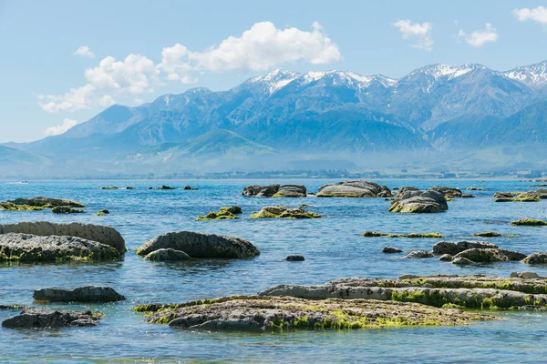 Gyönyörű Zéland Tenger Part Természeti Táj Háttér — Stock Fotó