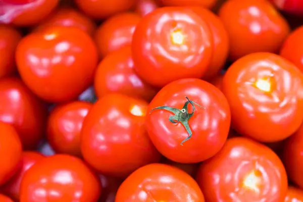 Fondo Fruta Orgánica Tomate Rojo Fresco Primer Plano — Foto de Stock
