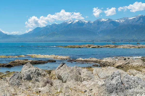 山背景には ニュージーランドの自然の風景の背景とカイコウラで美しいビーチの岩 — ストック写真