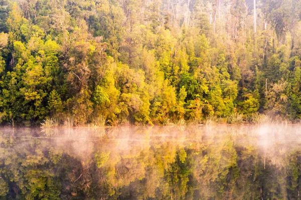 Reflection Water Lake Deep Forest New Zealand Natural Landscape Background — Stock Photo, Image