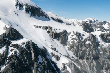 Fox Glacier, Yeni Zelanda doğal manzara arka planda siyah kaya dağ