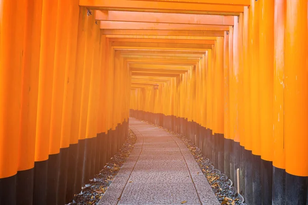 Kyoto Shirne Torii Famoso Chamado Templo Laranja Japão Marco Histórico — Fotografia de Stock