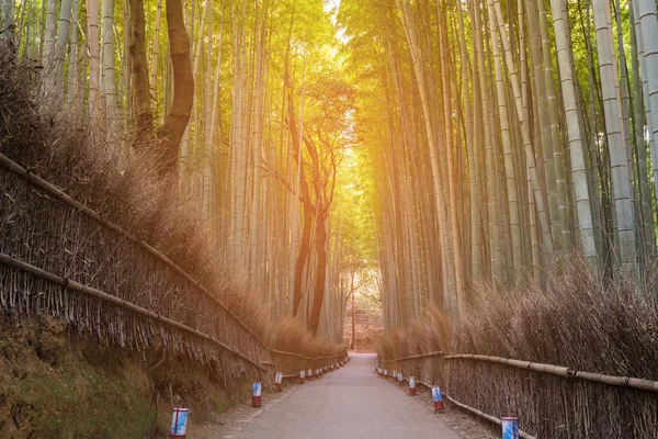 Floresta Bambu Com Caminho Arashiyama Kyoto Japão — Fotografia de Stock