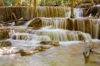 Tropikal ormanda doğal derin orman şelale