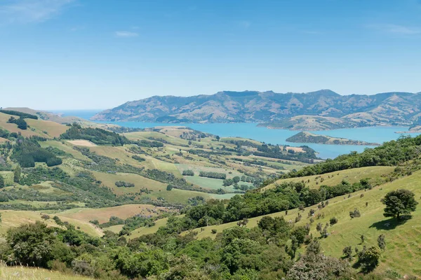 Hill View Outlook Akaroa Pozadí Krajiny Východního Pobřeží Nového Zélandu — Stock fotografie