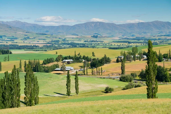 Hoge Heuvel Groene Natuurlijke Landschap Met Berg Achtergrond Nieuw Zeeland — Stockfoto