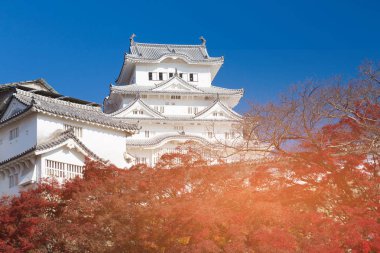 Hemeji, tarihi denilen Japonya beyaz kale