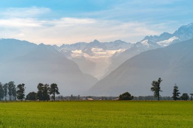 Fox Buzulu yeşil cam alanı, Yeni Zelanda doğal manzara arka plan ile