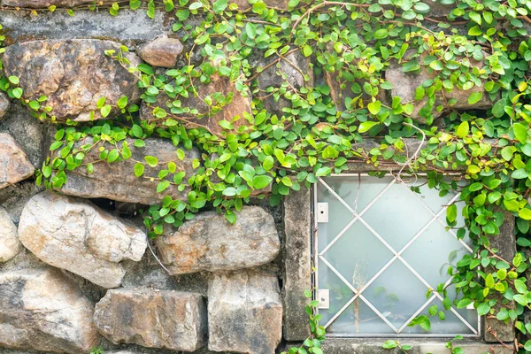 Glass window on rock wall, background and texture