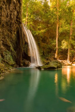 Taze derin orman şelale, doğal peyzaj arka plan