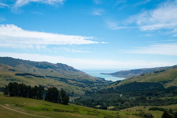 Vysoký Kopec Akaroa Zálivu Novozélandského Jižního Ostrova Přírodní Krajiny Pozadí — Stock fotografie