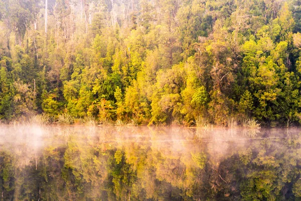 Отражательное Водное Озеро Естественном Лесу Ландшафт Новой Зеландии — стоковое фото