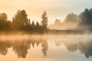 Matheson su Gölü ile yansıma, Yeni Zelanda doğal peyzaj tropikal orman 