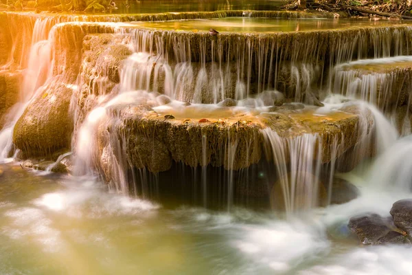 Strömung Wasserfall Tiefen Wald Natürliche Landschaft Hintergrund — Stockfoto