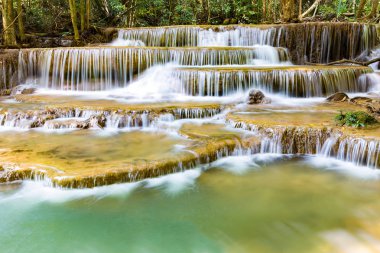 Doğal derin orman akarsu şelale tropikal orman