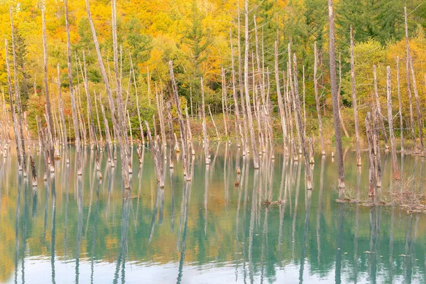 Lago Água Reflexão Lagoa Azul Durante Temporada Outono Paisagem Natural — Fotografia de Stock
