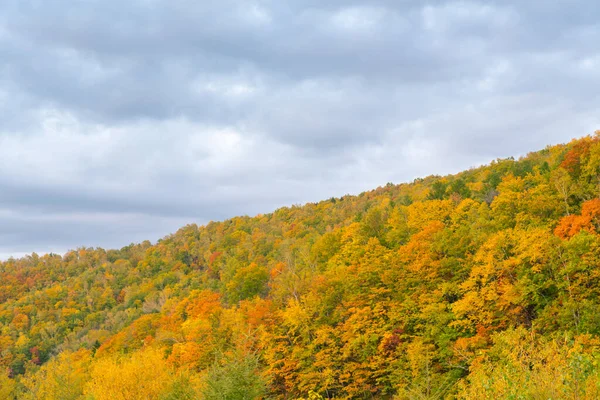 Bela Estação Outono Mudança Cor Árvore Encosta Montanha Paisagem Natural — Fotografia de Stock