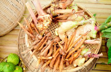 Zencefil, Galanga, zerdeçal, aşçı, Tayland Gıda için otlar.