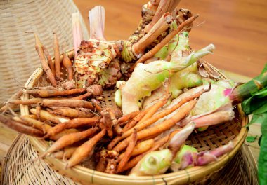 Zencefil, Galanga, zerdeçal, aşçı, Tayland Gıda için otlar.