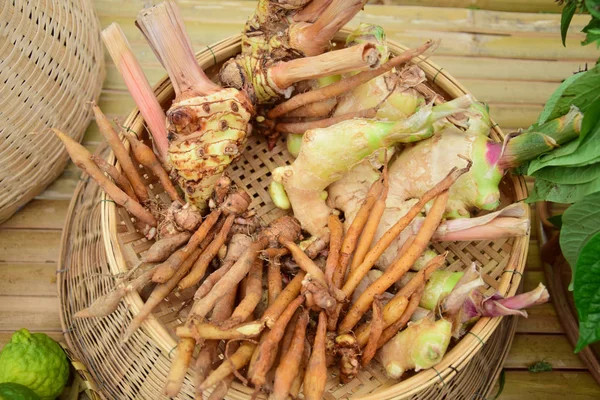 Galanga Kurkuma Imbir Zioła Jedzenie Kucharz Tajlandia — Zdjęcie stockowe