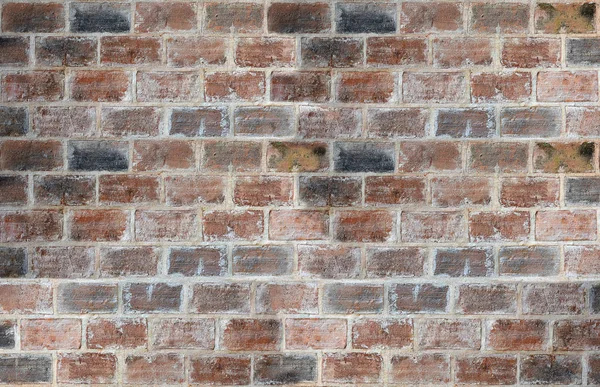 Brick Wall Background Close — Stock Photo, Image