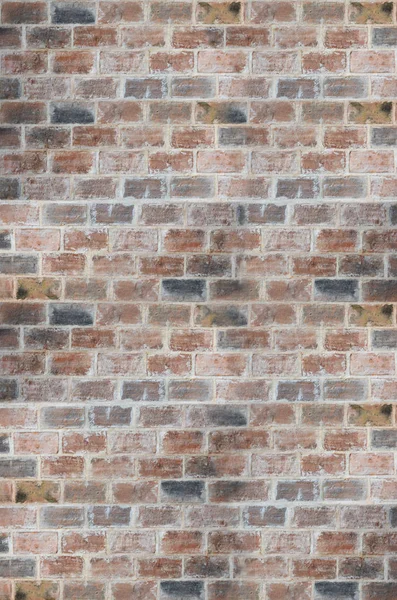 Brick Wall Background Close — Stock Photo, Image