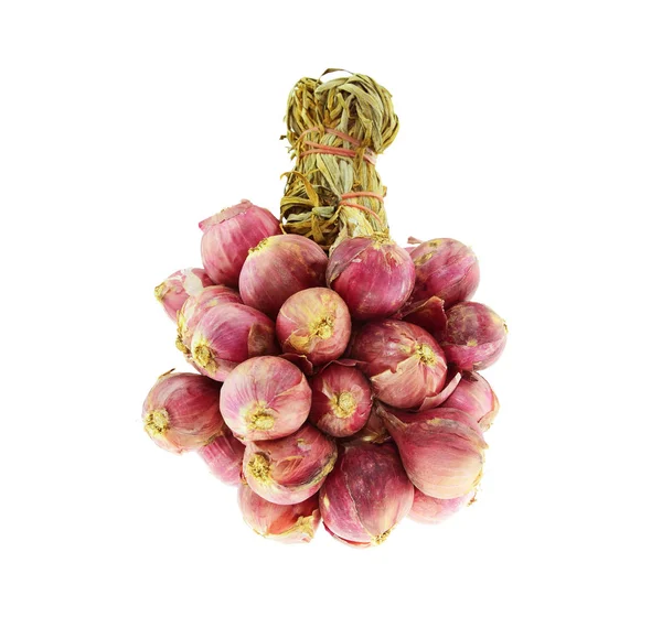 Shallot onions in group isolated on white background 