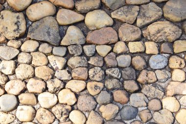 Eski deniz taşları, yakın çekim satırları 