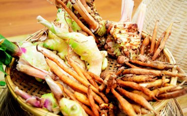 Zencefil, Galanga, zerdeçal, aşçı, Tayland Gıda için otlar.