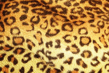 Arka plan için desenli kumaş çizgili leoparın dokusu