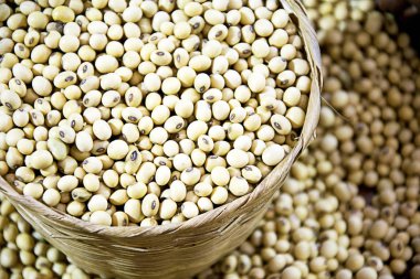 Soya fasulyesi hasır sepet içinde