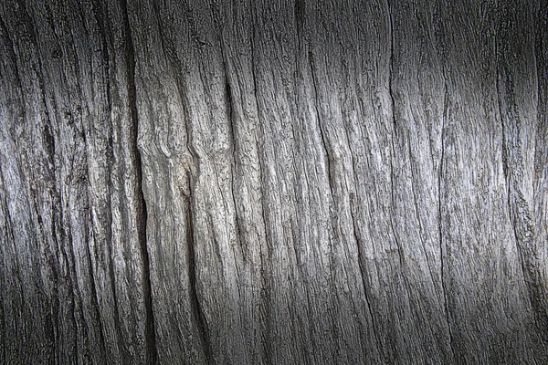 Текстура Фону Дерева — стокове фото