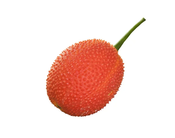 Gac frutas no fundo branco — Fotografia de Stock