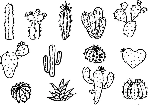 Colección mano dibujo de cactus —  Fotos de Stock