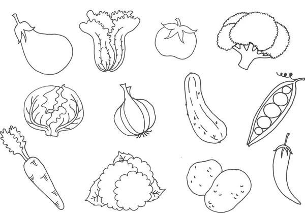 Coleta mão desenho de legumes — Fotografia de Stock