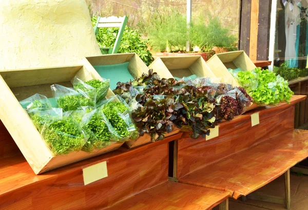 Frischer Salat in Plastiktüte auf dem Markt zum Verkauf — Stockfoto