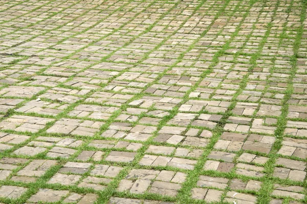 Walkway with grass growing between the stones. — Stock Photo, Image