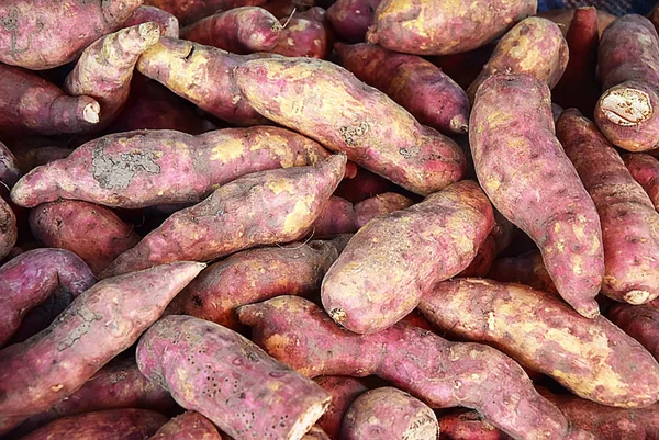 Słodkie ziemniaki na rynku stoją — Zdjęcie stockowe